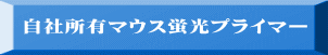 自社所有マウス蛍光プライマー