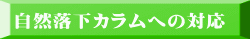 自然落下カラムへの対応 