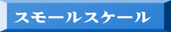 スモールスケール
