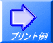 �v�����g�� 