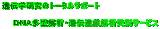 `w̃g[^T|[g  @@cm`^́E`A͎T[rX